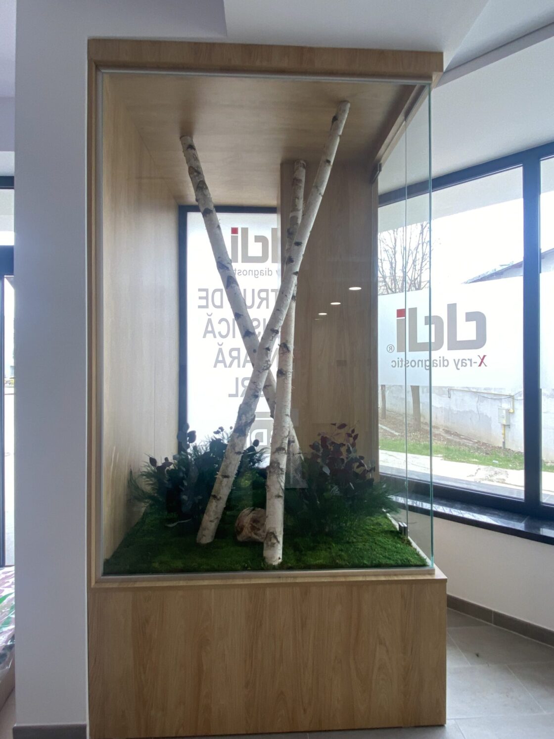 DDI – Bacau