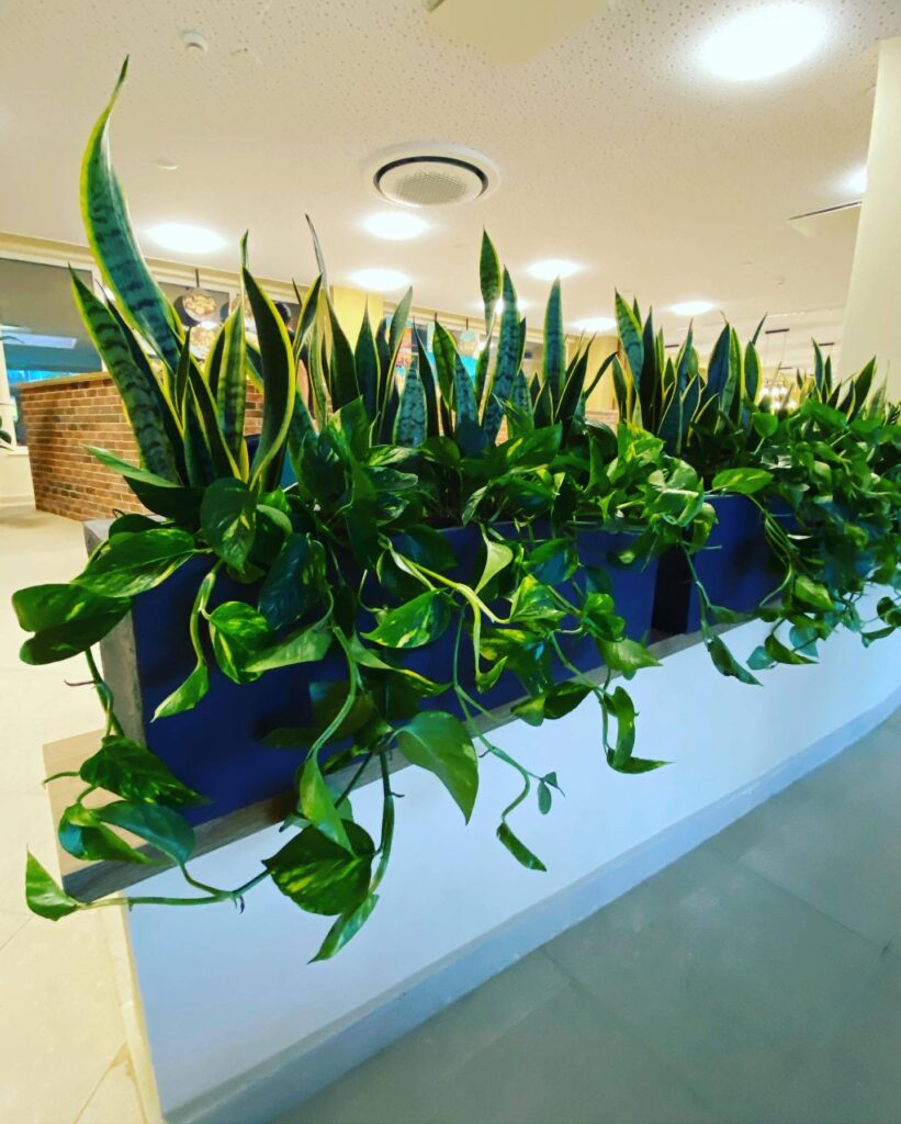 hotel_bc_1