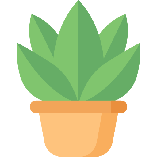 Display plante