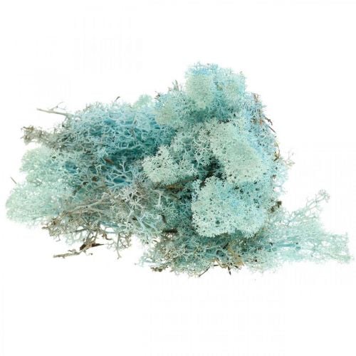 Finnlandmoos_aquamarin_500g_10189-2