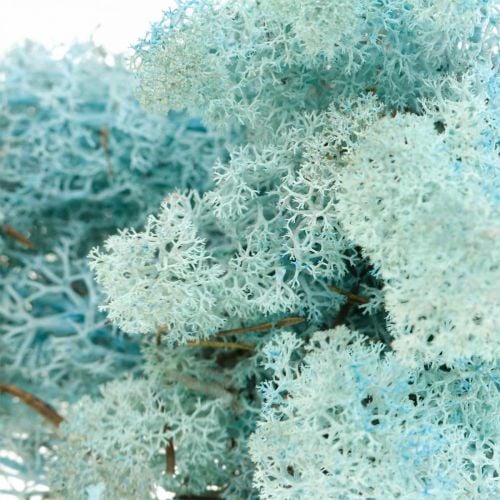 Finnlandmoos_aquamarin_500g_10189-3