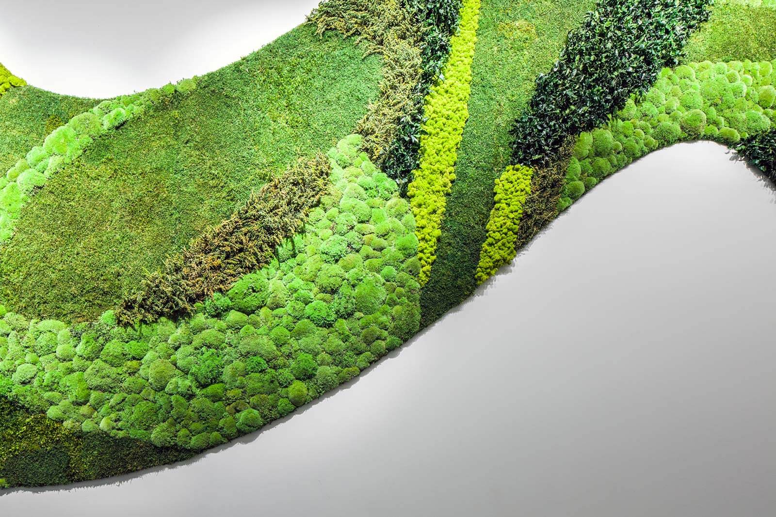karibu-design-muschi-3