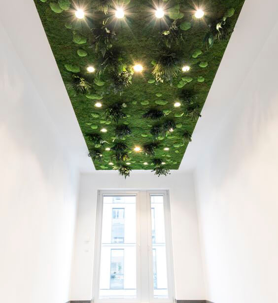 karibu-design-muschi-4
