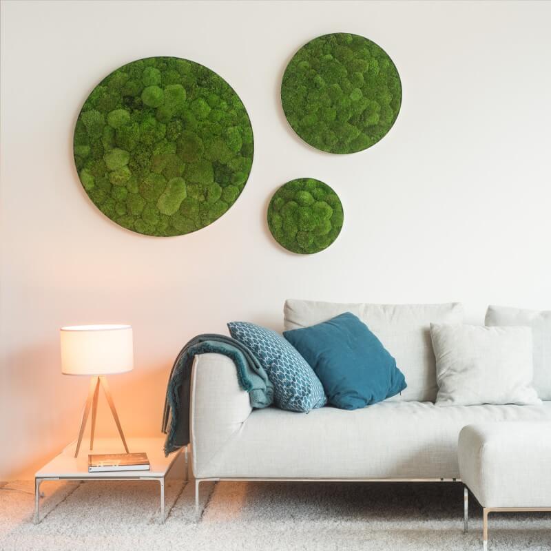 karibu-design-muschi-5